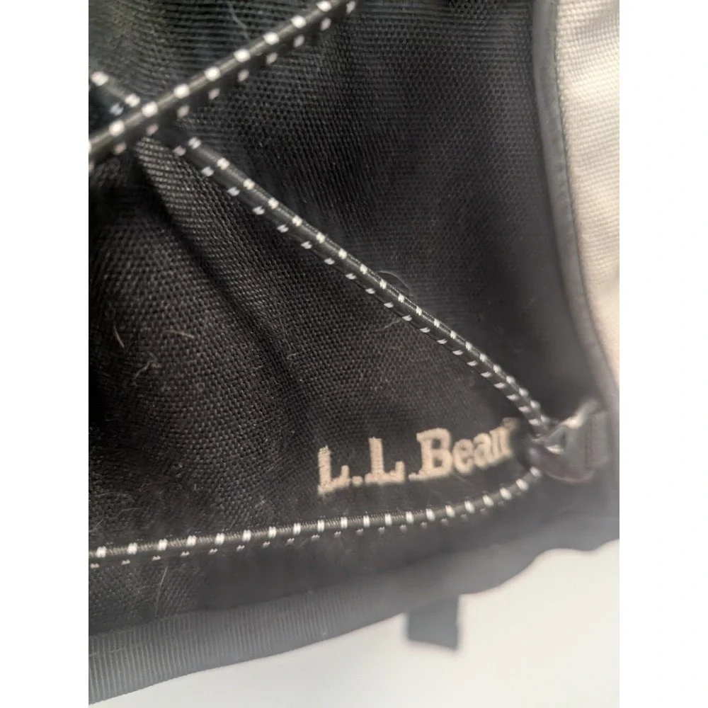 L.L. Bean bean y2k